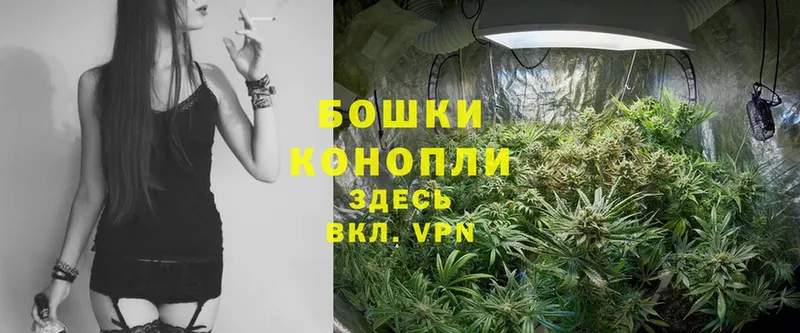 дарнет шоп  Лермонтов  Бошки марихуана LSD WEED 